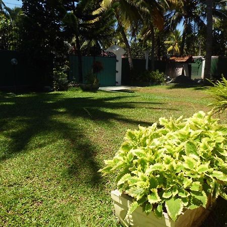 Villa W เบนโตตา ภายนอก รูปภาพ