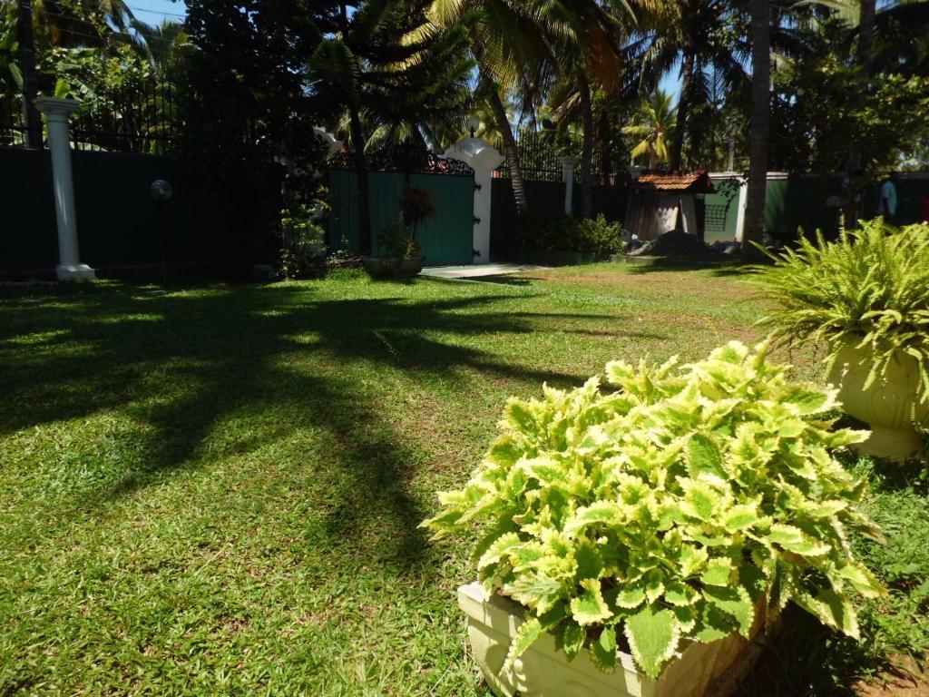 Villa W เบนโตตา ภายนอก รูปภาพ
